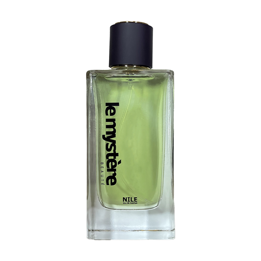 عطر مردانه لومیستق با رایحه نیل حجم 100 میلی‌لیتر